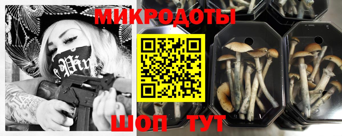 Псилоцибиновые грибы Psilocybine cubensis Ивантеевка